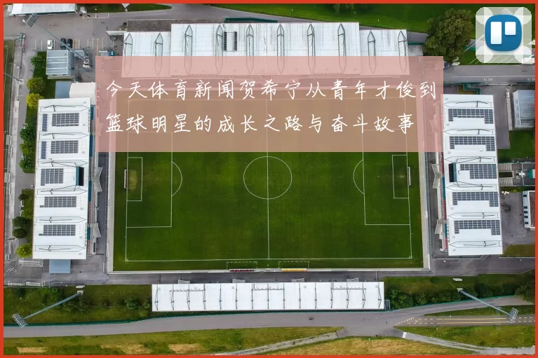 今天体育新闻贺希宁从青年才俊到篮球明星的成长之路与奋斗故事
